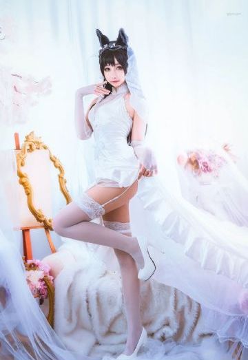 迎风的青春电视剧免费观看全集