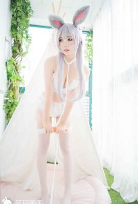 回复术士第二集完整版